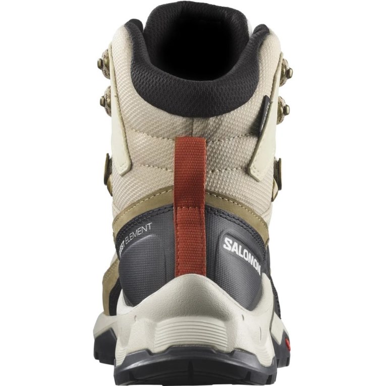 Beige / Olive / Black Salomon Quest Element GTX Women's Hiking Boots | PH 14239M